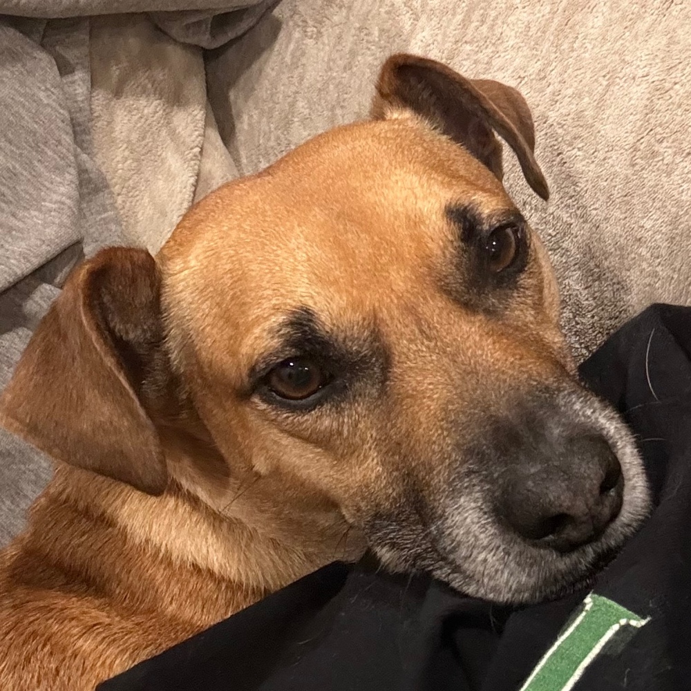 Meet your Posher, Leah